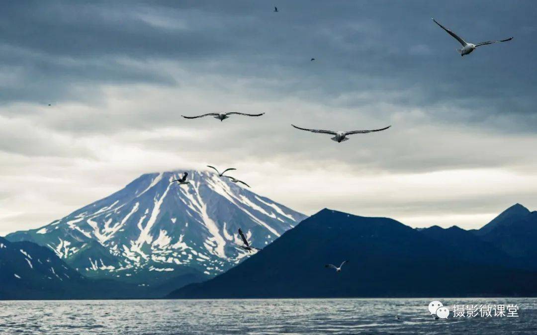 半岛棕熊捕鱼、白令海峡寻拍鲸鱼及自然风光专业摄影团不朽情缘正规网站【远东探险丨勘察加】7月野性堪察加(图4)